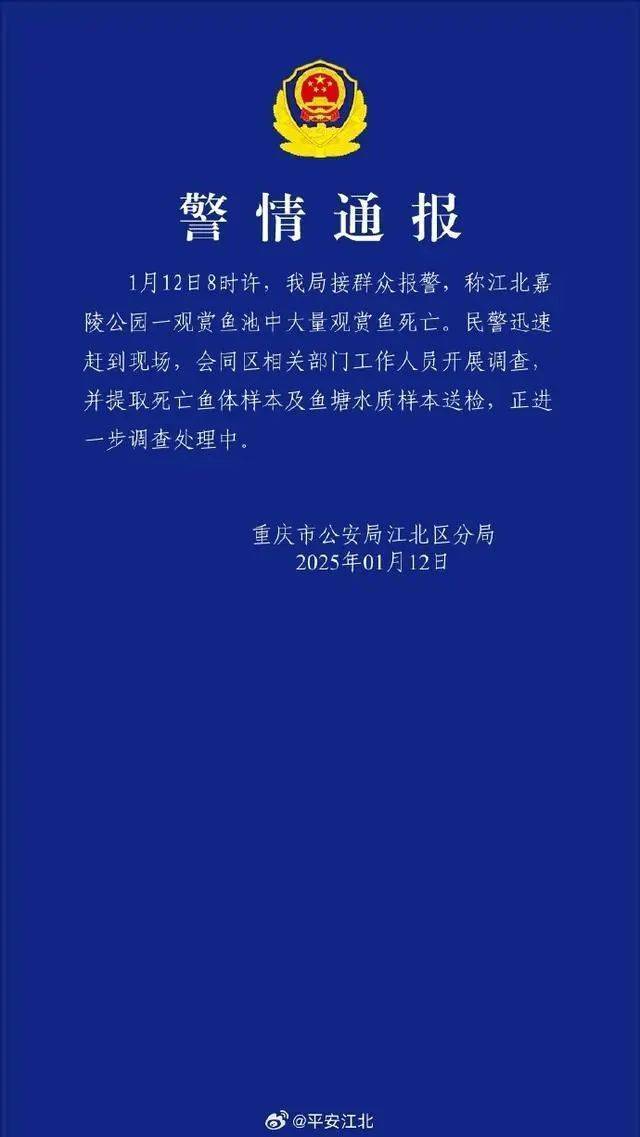 皇冠比分网_重庆警方通报“公园锦鲤大量死亡”：已提取死亡鱼体样本及鱼塘水质样本送检