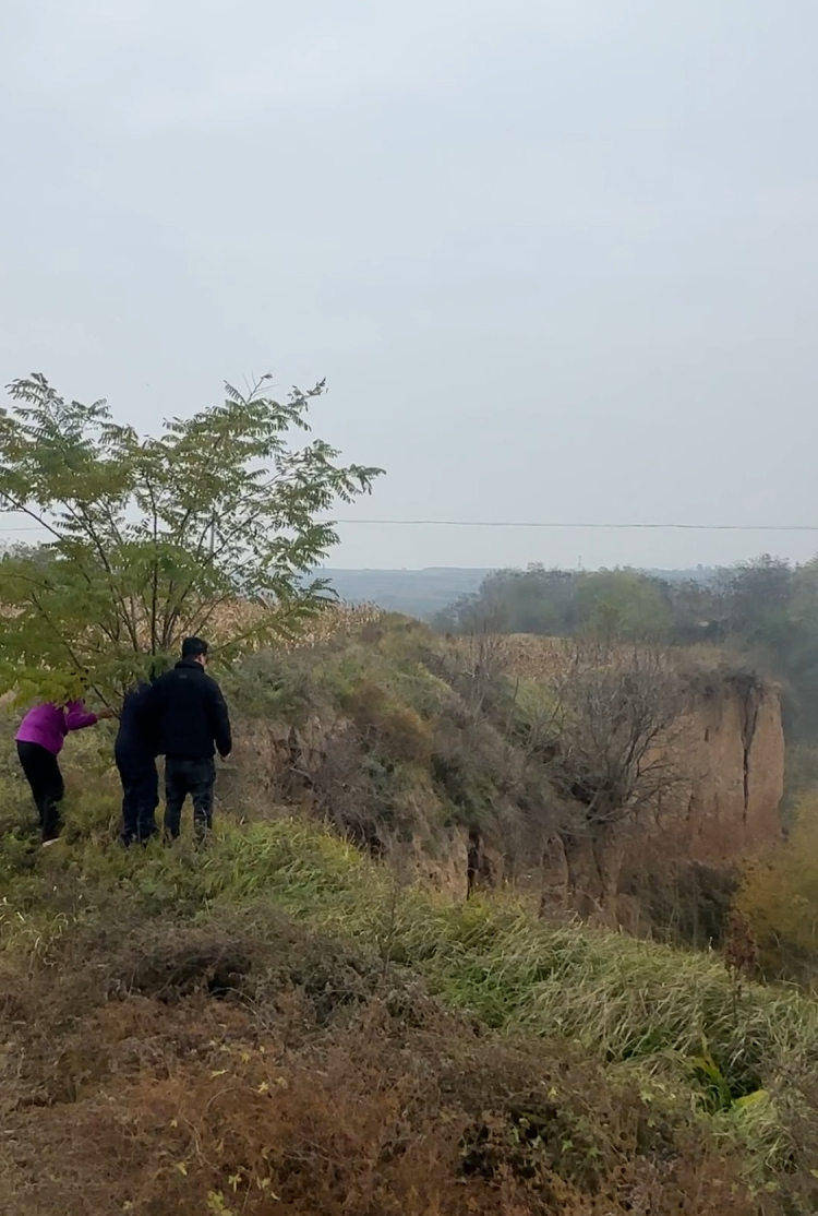 皇冠信用登3代理
_陕西咸阳一男子打晕妻子误以为已死皇冠信用登3代理
,将人扔下土崖致其死亡被公诉